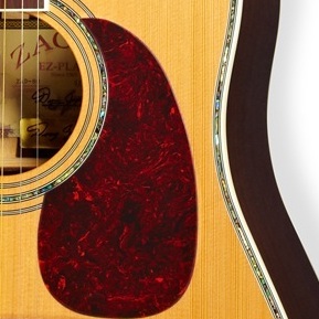 Zager Pick Guard – Tortoise