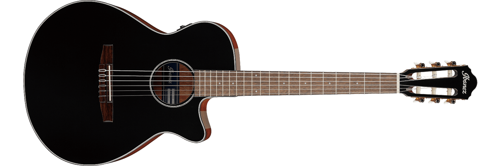 AEG50N | AEG | ACOUSTIC GUITARS | PRODUCTS | Ibanez guitars