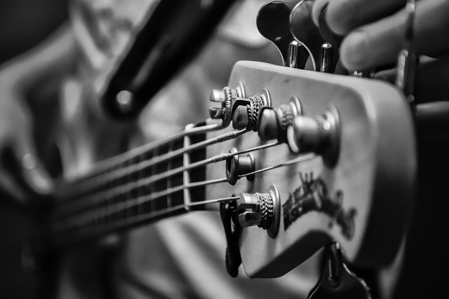music, bass, electric bass
