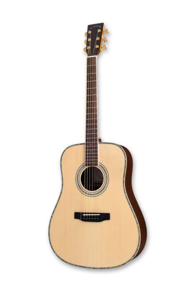 ZAD900 Solid Spruce/Rosewood Acoustic Pro Series
