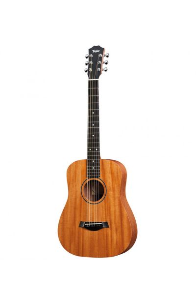taylor BT2