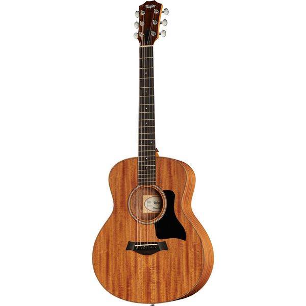 Taylor-GS-Mini