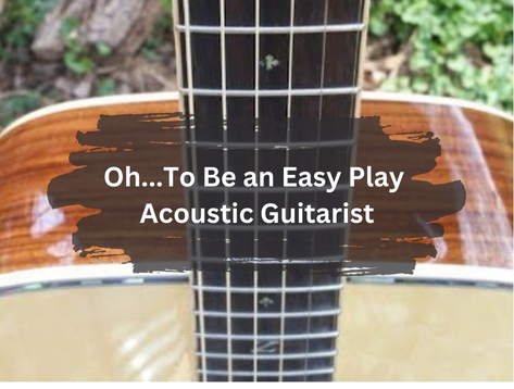 Easy Play Acoustic Guitar