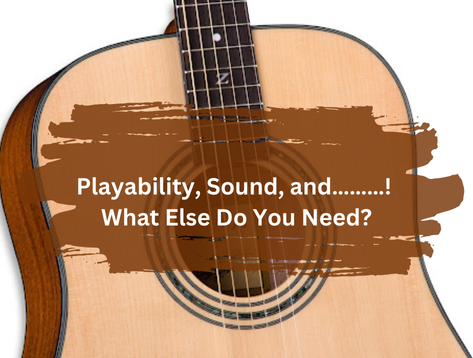 Zager Guitar Playability Sound
