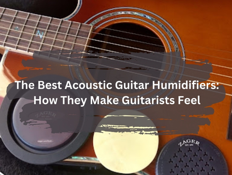Acoustic Guitar Humidifiers